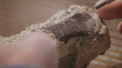 I'M REALLY TAKING MY TIME.
IF I START TO RUSH, - Dino Hunters