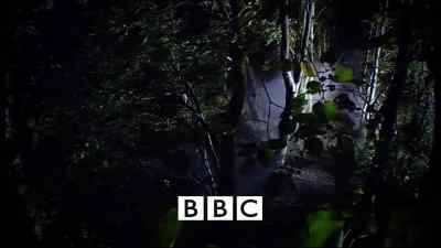 I'm returning to the same spot. - Torchwood