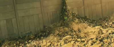 I'm running out of time. - World War Z