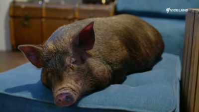 I'm sat here thinking, - Stacey Dooley Sleeps Over