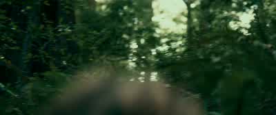 I'm scared of whatever took that poopBut why thoughBecause only huge scary thingstake poops that bigSo what Everything poopsYes but if it finds us it will eat usand push us out its butt and turn us into poop - Swiss Army Man