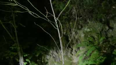I'm seeing that something - Expedition Bigfoot