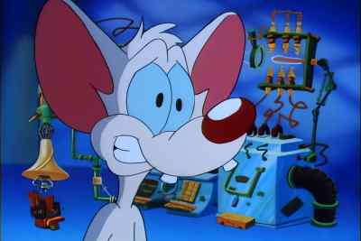 I'M SMART ENOUGH NOW. - Pinky and the Brain