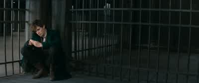 I'm so sorry about your creatures, Mr. - Fantastic Beasts and Where to Find Them