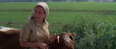 I'm sorry about that.
They mean no harm. - Fiddler on the Roof