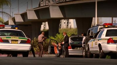 I'm sorry Amy. - CSI: Miami