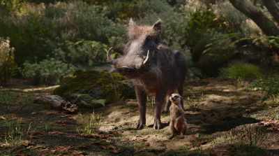 I'm so sorry,
before we move on, - The Lion King