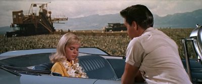 I'm sorry Don't be Just find some action - Blue Hawaii