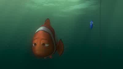 I'm sorry, Dory, but I do. - Finding Nemo