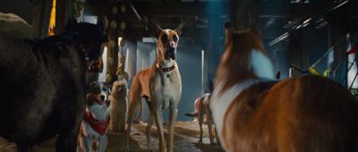I'm sorry he gets this way when he drinks too much drain pipe water - Marmaduke