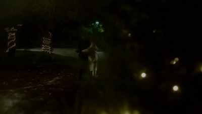 I'm sorry I couldn't
make that happen for you. - Pretty Little Liars: The Perfectionists