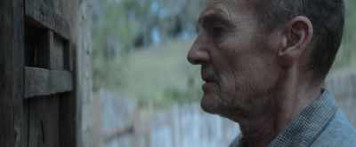 I'm sorry. I would still like
to take my chances - My Neighbor Adolf