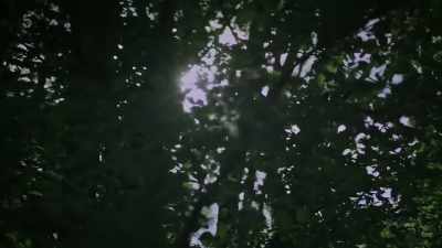 I'm sorry! I'm... - The House Across the Street