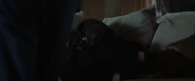 I'm sorry, Jack. - Magnolia