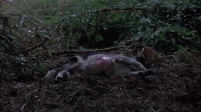 - I'm sorry. - Ticks