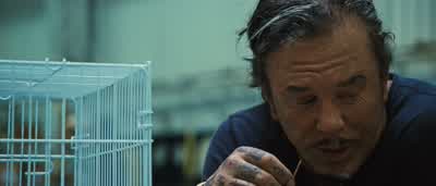 I'm sorry. - Iron Man 2