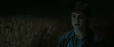 I'm sorry. - Harry Potter and the Deathly Hallows: Part 1