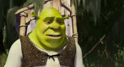 I'm sorry. - Shrek