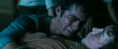 I'm sorry! - The Maze Runner