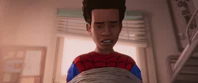 I'm sorry. - Spider Man: Into the Spider Verse