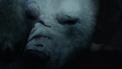 I'm so sorry. - His Dark Materials