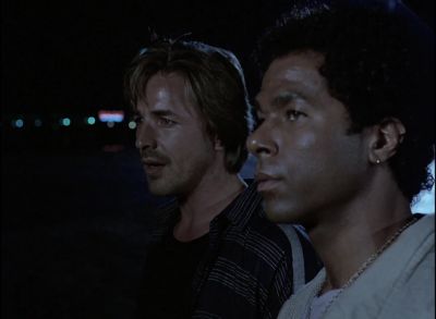 I'm sorry. - Miami Vice