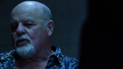 I'm sorry, is something funny? - Hawaii Five-0