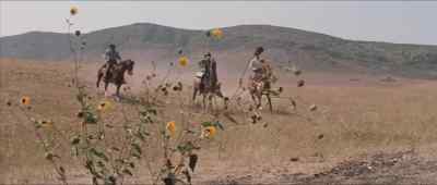 I'm sorry the way
it happened, Clint. - Flaming Star