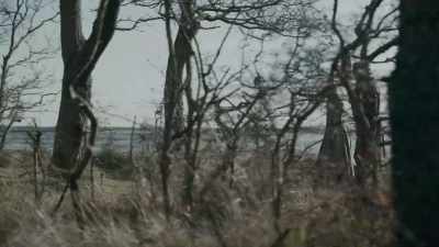 I'm sorry, Will, - The Essex Serpent