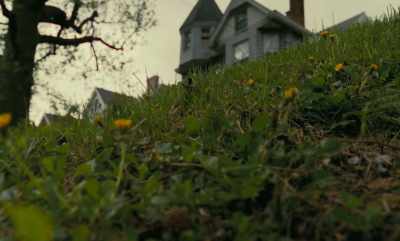 I'm standing up here, - Dandelion