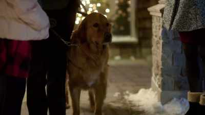 I'm still getting used to Max. - My Christmas Guide
