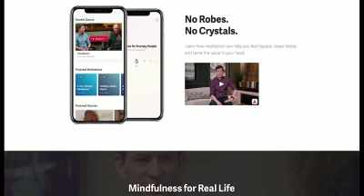 I'm struck by the
absurdity of it - The Mindfulness Movement