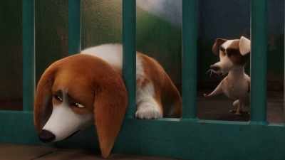 I'm sure she forgave me. - Head up, mate. - The Queen's Corgi