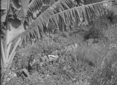 I'm sure glad Jane's back - Tarzan and the Amazons