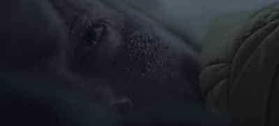 I'm taking your body
heat to keep me alive. - Cold Meat
