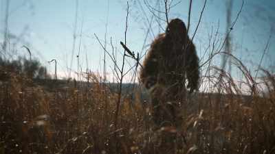 I'm talking about a habitual,
natural bipedal primate. - Secrets of the Sasquatch
