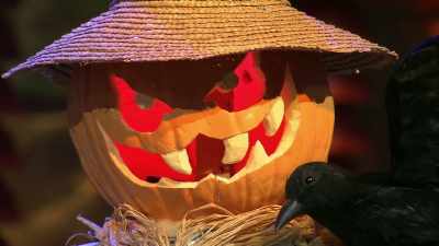 I'm talking about the biggest
Halloween icon there is... - Halloween Cookie Challenge