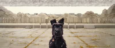 Fetch-i! - Isle of Dogs
