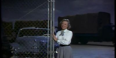I'm terribly sorry honey - Strategic Air Command