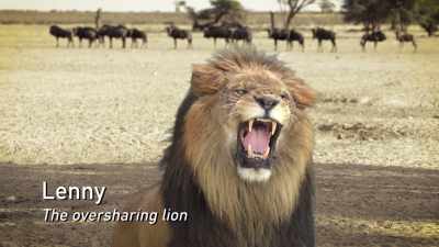 I'm the only big cat
with a tassel tail. - Absurd Planet