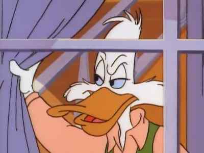 I'M THE TERROR
THAT FLAPS IN THE NIGHT, - Darkwing Duck