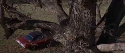 I'm throwing in the towel. - Beyond the Valley of the Dolls