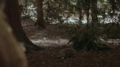 - I'm tired. I wanna go home. - Resident Alien