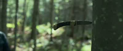 I'm Todd Hewitt. - Chaos Walking