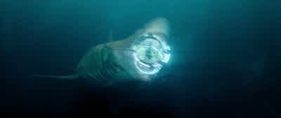 I'm trapped! - The Meg