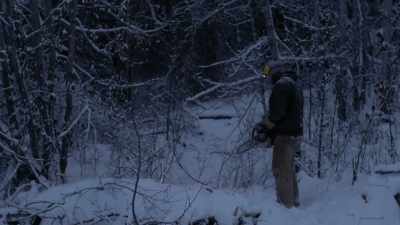 I'm up against dark and I
wanna get a tree down before - Life Below Zero: Next Generation