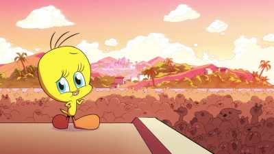 I'm used to getting attention, - King Tweety