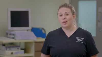 I'm wondering if the mass
that we removed from her neck - Secrets of the Zoo