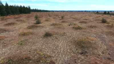 I'm wondering if the Mima Mounds
might be an extreme version - Secrets of the Underground