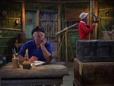 I'M WRITING
THIS ADVENTURE UP
IN OUR LOG. - Gilligan's Island